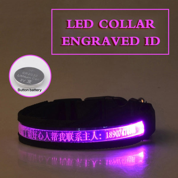 HKM-7090493 Radiant Dog Collar with Luminous Carved Lettering and Multiple Color Options