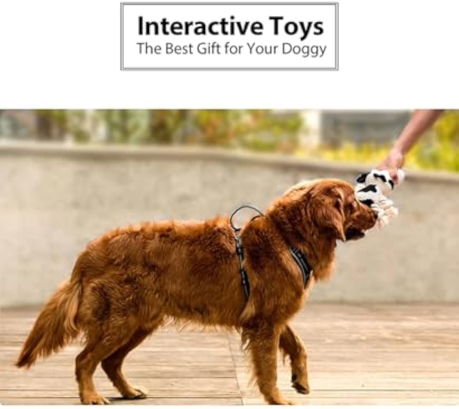 HKM-7091901 Durable Plush Dog Toy with Squeaker and Crinkle Ears, Chew Toy for Small, Medium, and Large Dogs