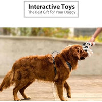 HKM-7091901 Durable Plush Dog Toy with Squeaker and Crinkle Ears, Chew Toy for Small, Medium, and Large Dogs