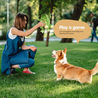 HKM-7094077 Plush Dog Toy with Sound, Bite-Resistant Design – Golden Retriever Doll for Playtime and Companionship