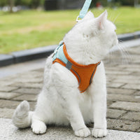 HKM-7094205 Small Dog Vest with Hand-Holding Rope - Multiple Color Options Available
