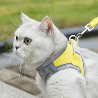 HKM-7094205 Small Dog Vest with Hand-Holding Rope - Multiple Color Options Available