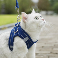 HKM-7094205 Small Dog Vest with Hand-Holding Rope - Multiple Color Options Available