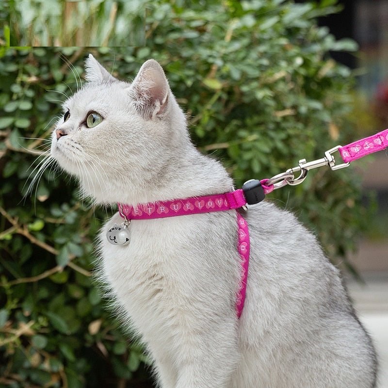 HKM-7095869 Adjustable Pet Chest Strap with Leash for Small Dogs and Cats in Various Colors