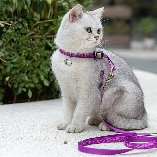 HKM-7095869 Adjustable Pet Chest Strap with Leash for Small Dogs and Cats in Various Colors