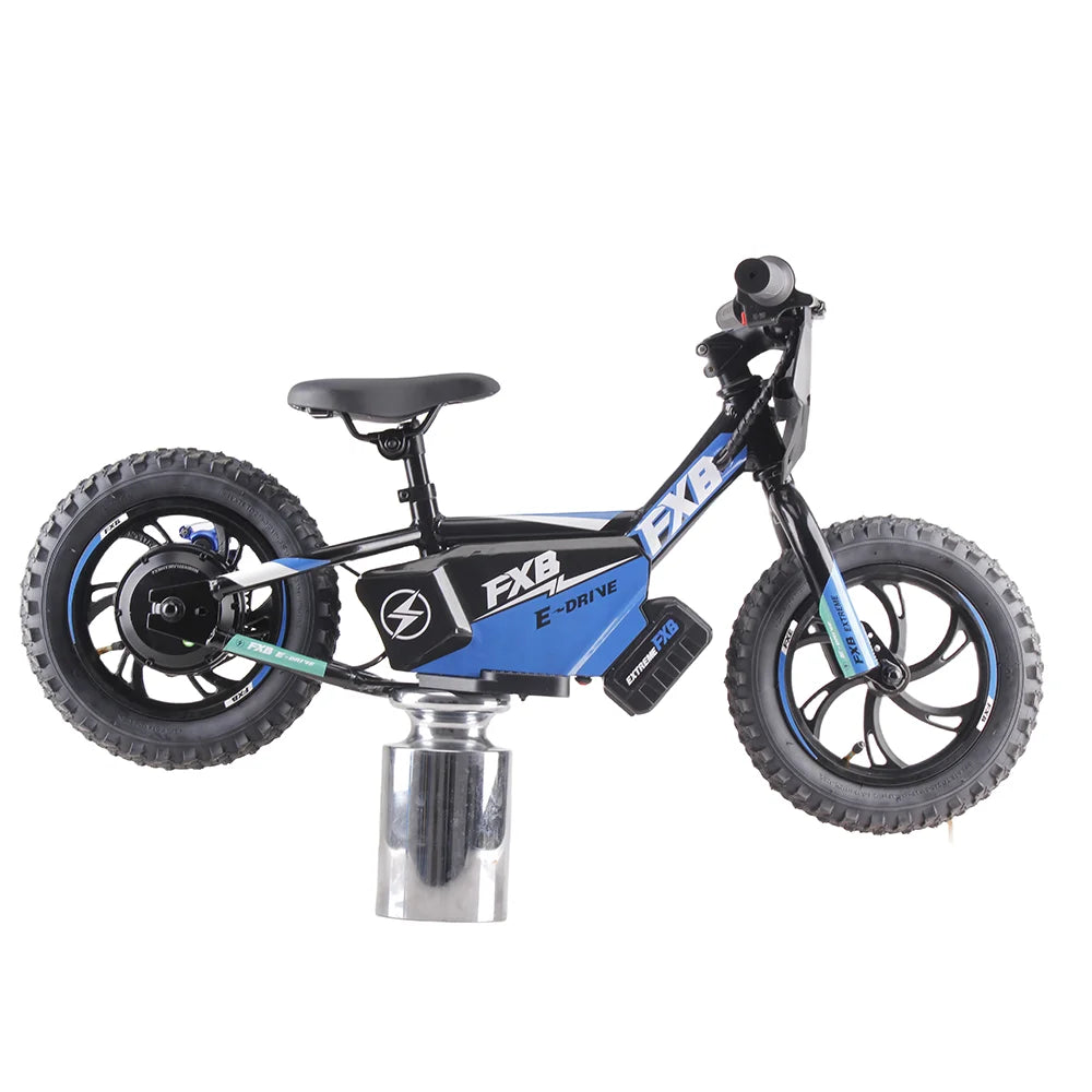 HKM-709907 12-Inch Electric Motor Bicycle for Kids, 350W Brushless Hub Motor, Aluminum Frame, Max Load 85kg