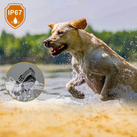HKM-7102141 Intelligent Waterproof Dog Collar with Sound, Vibration, and Electric Shock Modes
