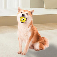 HKM-7103421 Smile Face Latex Dog Ball Toys - Durable, Squeaky Chewing Balls for Small to Medium Dogs and Cats
