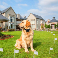 HKM-7105597 Electric Dog Fence System with Tone and Shock Collar for Safe Boundary Training