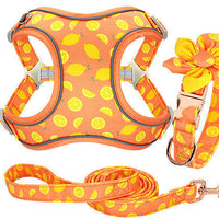 HKM-7106493 Adjustable Dog Traction Harness with Decorative Flowers ¨C S/M/L Size Options