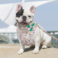 HKM-7106493 Adjustable Dog Traction Harness with Decorative Flowers ¨C S/M/L Size Options