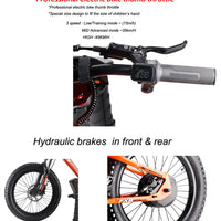 HKM-711059 20-Inch Adjustable Stainless Steel Hydraulic Fork Electric Balance Bike with Lithium Battery