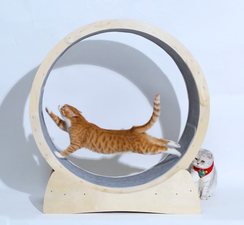 HKM-7114941 Cat Treadmill Roller - Solid Wood Running Toy with Safety Features and Quiet Design