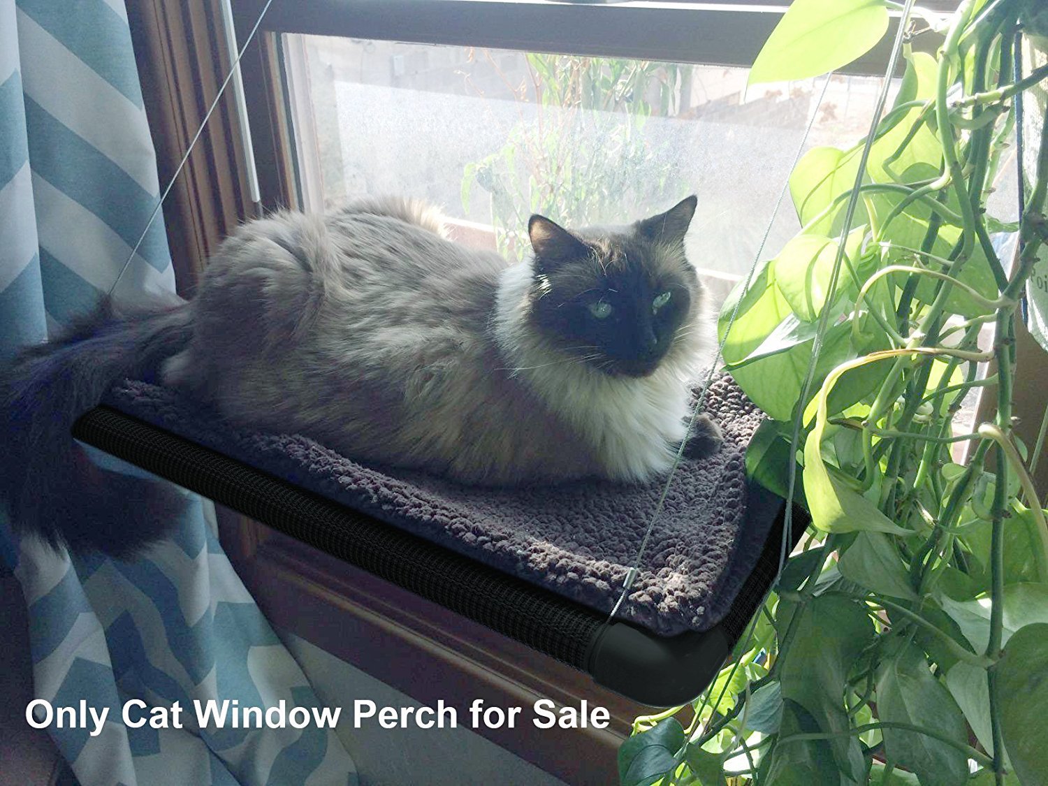 HKM-7115325 Sturdy Window-Mounted Cat Hammock with Suction Cups for Sunbathing and Viewing