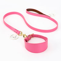 HKM-7115453 Soft Leather Pet Necklet and Towing Rope Set - Adjustable Collar in Gray and Pink