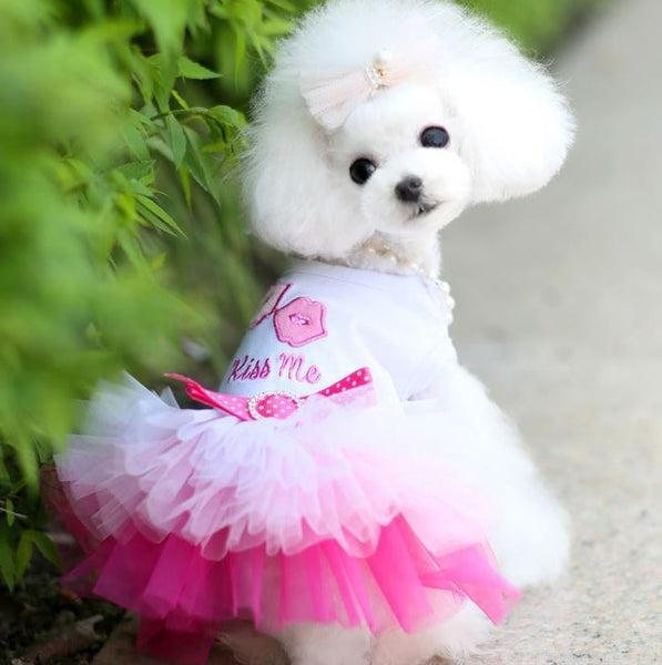 HKM-7119805 Pet Dog Lip Skirt Princess Dress with Cute Bow - Available in Pink and Blue, Sizes XS to XXL