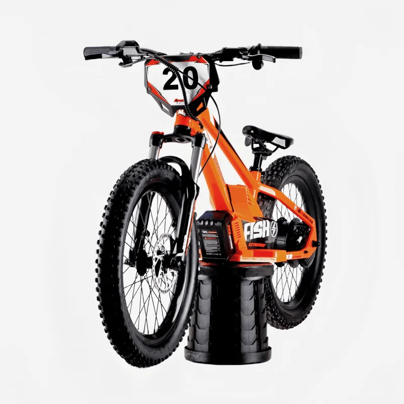 HKM-712211 20" Electric Balance Bike for Kids and Adults - 36V 400W Hub Motor, 5Ah Lithium Battery, Disc Brake