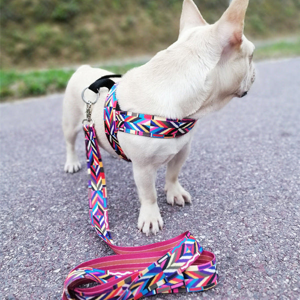 HKM-7126461 Adjustable Nylon Dog Chest Strap for Small Outdoor Activities - Sizes XS to XL