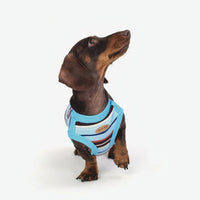 HKM-7132605 Casual Blended Fabric Vest for Small and Medium Dogs