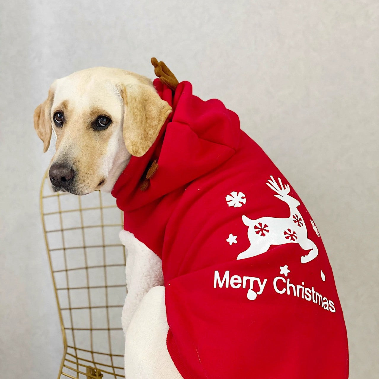 HKM-7137469 Christmas Deer Hooded Fleece Pet Sweatshirt for Dogs and Cats, Sizes XS to XXL
