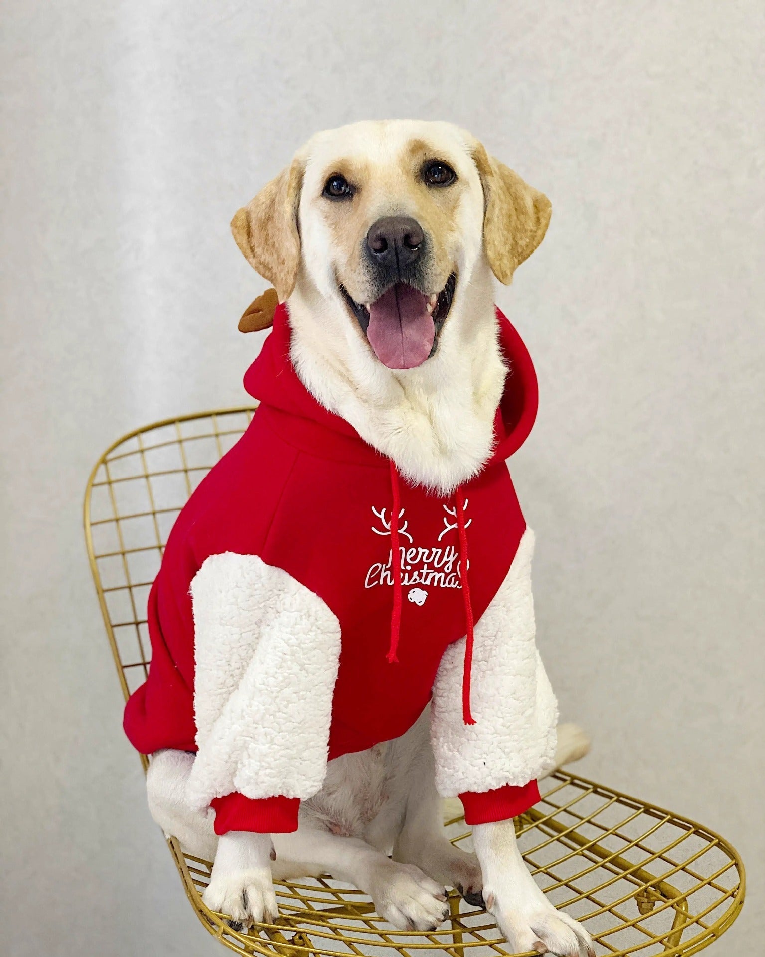 HKM-7137469 Christmas Deer Hooded Fleece Pet Sweatshirt for Dogs and Cats, Sizes XS to XXL