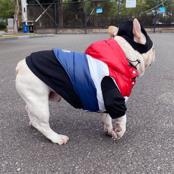 HKM-7142845 Mongolian Cotton Casual Vest for Dogs - Three-Color Stitching, Available in Multiple Sizes