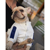 HKM-7146813 Cozy Cotton Sweater for Cats and Dogs ¨C Stylish Pet Apparel