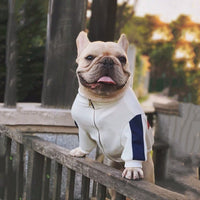 HKM-7146813 Cozy Cotton Sweater for Cats and Dogs ¨C Stylish Pet Apparel