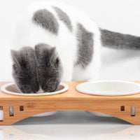 HKM-7150397 Bamboo Wood Arched Pet Bowl with Easy-Clean Bone China Insert