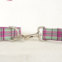 HKM-7153981 Tear-Resistant Mint Pet Collar and Traction Leash Set