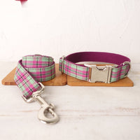 HKM-7153981 Tear-Resistant Mint Pet Collar and Traction Leash Set