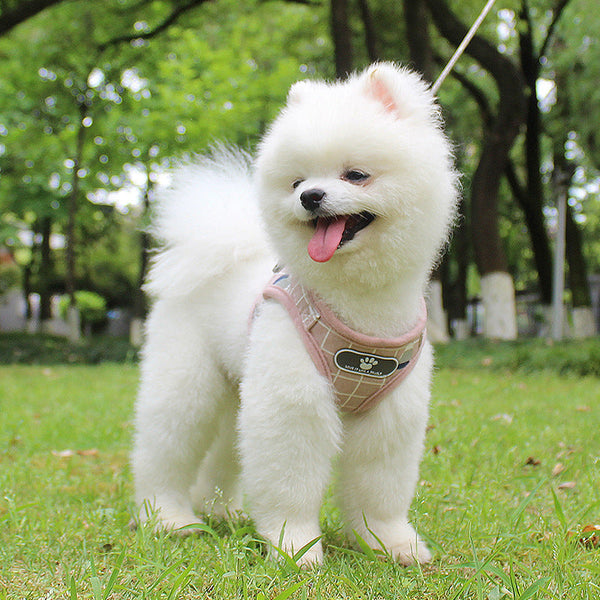 HKM-7159229 Reflective Dog Leash with Traction Belt - Light Pink, Gray, Khaki, XS to XL Sizes