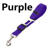 HKM-7159741 Durable Pet Traction Rope Car Seat Belt - Imitation Nylon, 2.5cm x 70cm