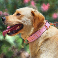 HKM-7161917 Leather Rivet Dog Collar - Anti-Bite, Available in Chocolate, Pink, and Black, Suitable for All Seasons