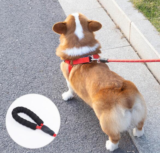 HKM-7165501 EVA Reflective Dog Leash and Collar Set in Multiple Colors and Sizes