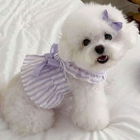 HKM-7170237 Charming Dog Dress with Bowknot and Stripe Skirt for Summer Outings