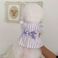 HKM-7170237 Charming Dog Dress with Bowknot and Stripe Skirt for Summer Outings