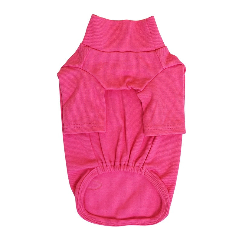 HKM-7177021 Cozy Turtleneck Ribbed Cat Shirt in Sky Blue, Fruit Green, and Pink - Sizes S to XL