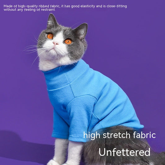 HKM-7177021 Cozy Turtleneck Ribbed Cat Shirt in Sky Blue, Fruit Green, and Pink - Sizes S to XL