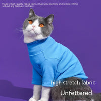 HKM-7177021 Cozy Turtleneck Ribbed Cat Shirt in Sky Blue, Fruit Green, and Pink - Sizes S to XL