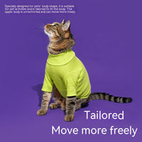 HKM-7177021 Cozy Turtleneck Ribbed Cat Shirt in Sky Blue, Fruit Green, and Pink - Sizes S to XL