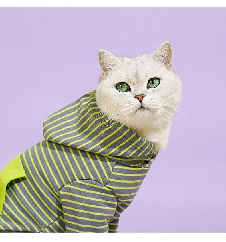 HKM-7177021 Cozy Turtleneck Ribbed Cat Shirt in Sky Blue, Fruit Green, and Pink - Sizes S to XL