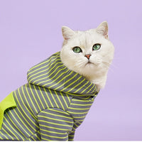 HKM-7177021 Cozy Turtleneck Ribbed Cat Shirt in Sky Blue, Fruit Green, and Pink - Sizes S to XL