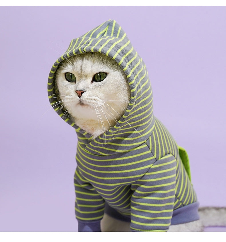 HKM-7177021 Cozy Turtleneck Ribbed Cat Shirt in Sky Blue, Fruit Green, and Pink - Sizes S to XL