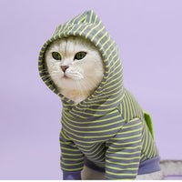 HKM-7177021 Cozy Turtleneck Ribbed Cat Shirt in Sky Blue, Fruit Green, and Pink - Sizes S to XL