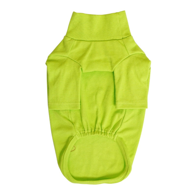HKM-7177021 Cozy Turtleneck Ribbed Cat Shirt in Sky Blue, Fruit Green, and Pink - Sizes S to XL
