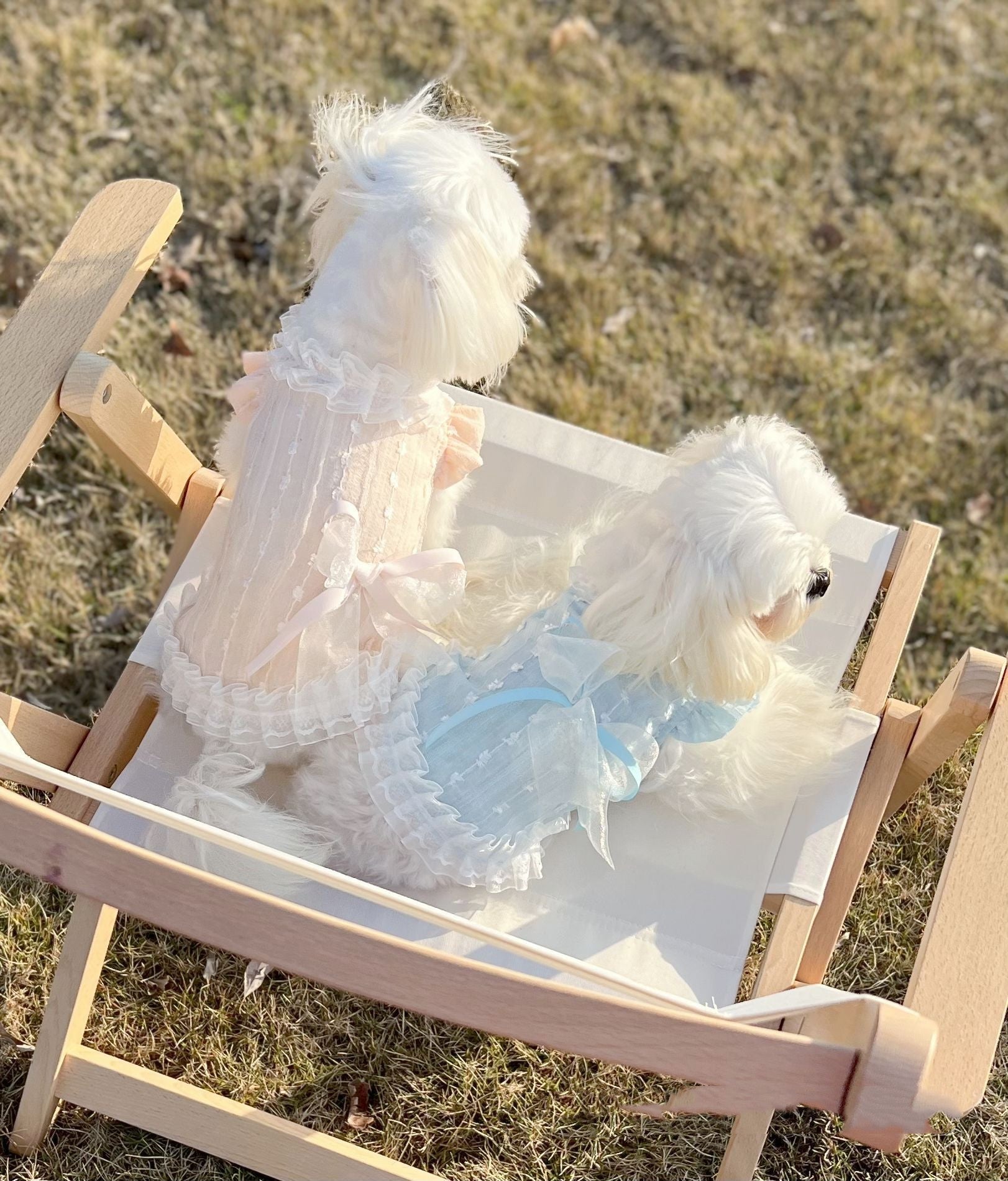 HKM-7177789 Chiffon Lace Bow Dress for Pets - Stylish Blue and Pink Skirt - Sizes 2XS to 3XL