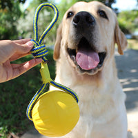 HKM-7182013 Durable Puppy Molar Interaction Ring - Various Sizes and Colors Available