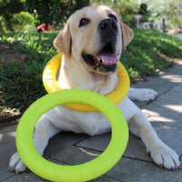 HKM-7182013 Durable Puppy Molar Interaction Ring - Various Sizes and Colors Available