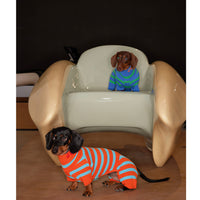 HKM-7187517 Knitted Color-Block Stretch Four-Legged Dog Outfit for All Sizes